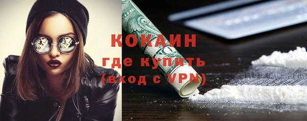 гидра Бежецк